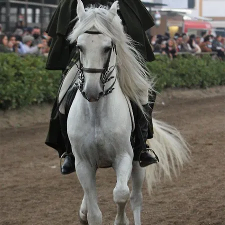 Panzió Quinta Da Marmela