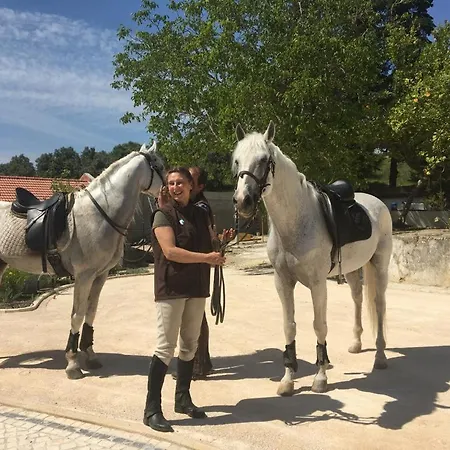 Alojamento de Acomodação e Pequeno-almoço Quinta Da Marmela Torres Novas