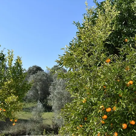 Quinta Da Marmela *