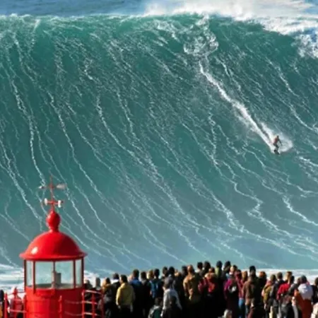 Quinta Da Marmela Bed & Breakfast