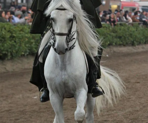 Alojamento de Acomodação e Pequeno-almoço Quinta Da Marmela