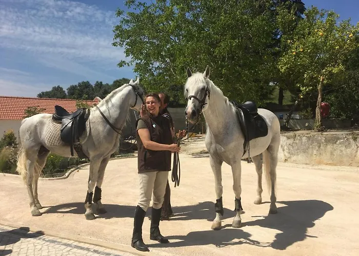 Alojamento de Acomodação e Pequeno-almoço Quinta Da Marmela Torres Novas